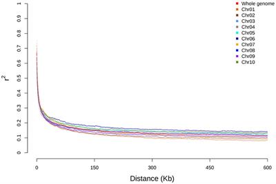 Identification of pleiotropic loci mediating structural and non-structural carbohydrate accumulation within the sorghum bioenergy association panel using high-throughput markers